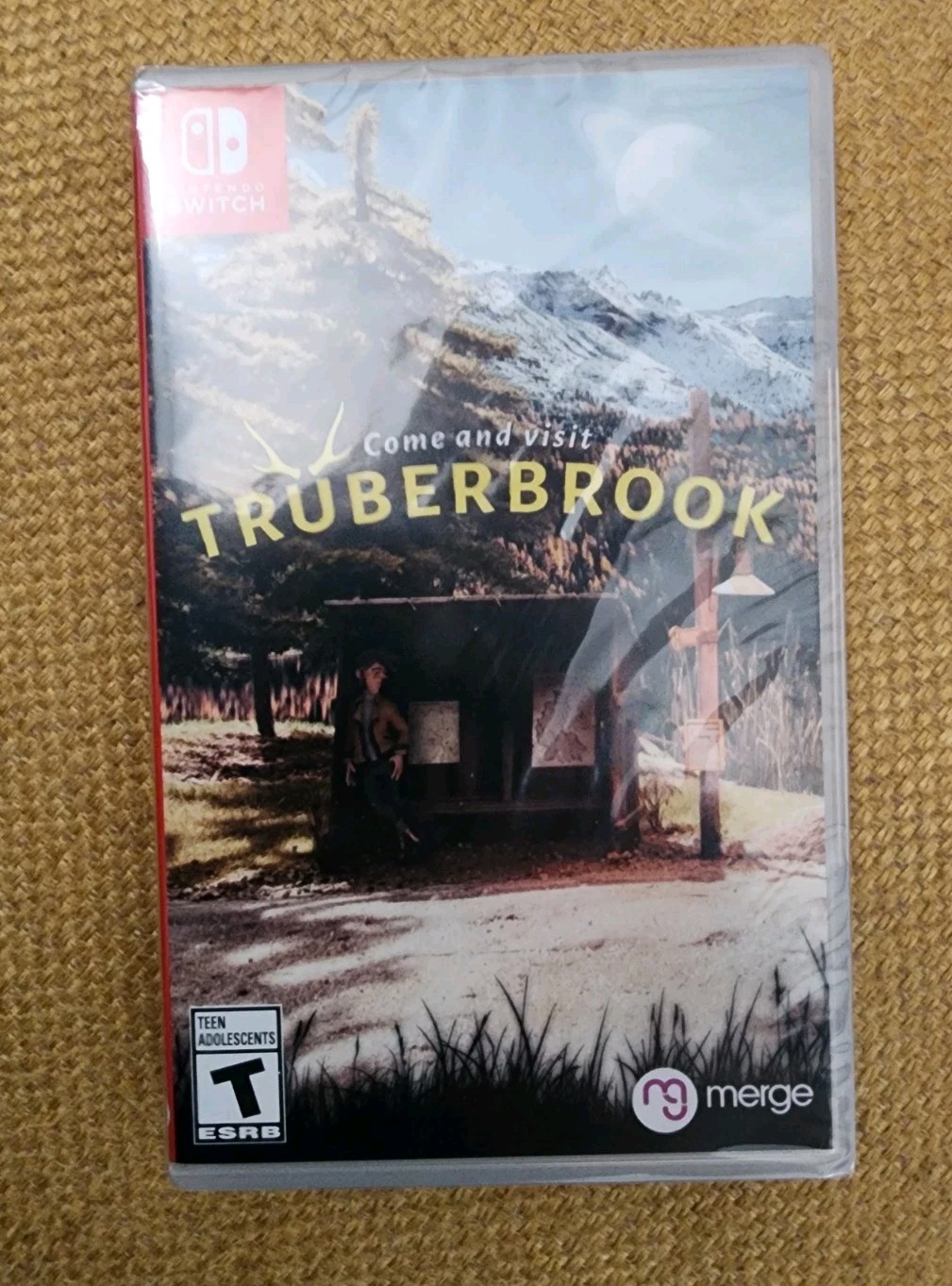 Truberbrook for Nintendo Switch