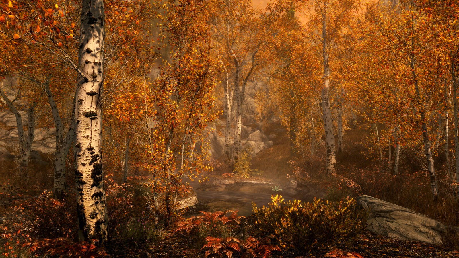 The Elder Scrolls V: SKYRIM Special Edition PC Steam Key GLOBAL FAST DELIVERY!