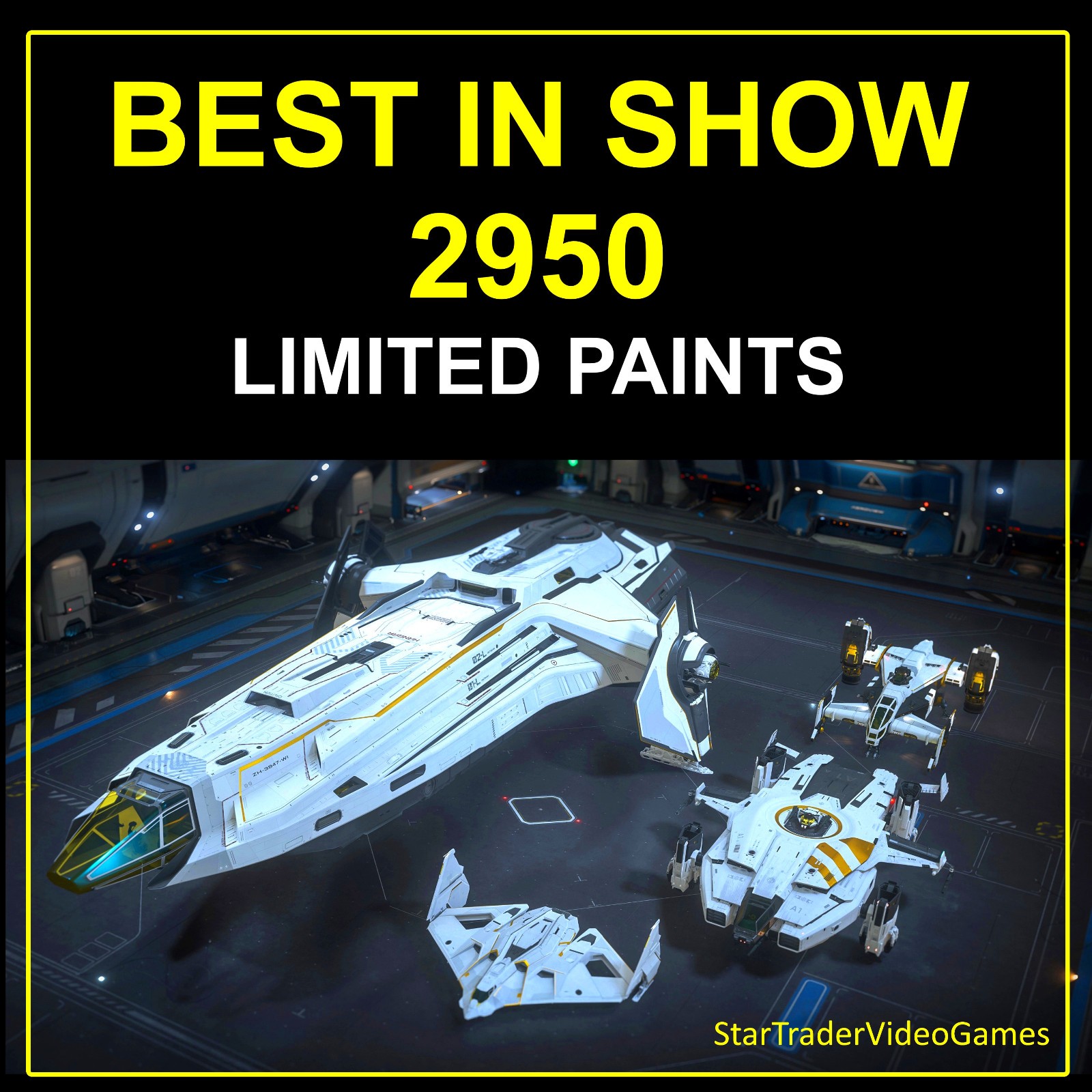 STAR CITIZEN PAINTS – BEST IN SHOW 2950 LIMITED PAINT PACK / SKIN