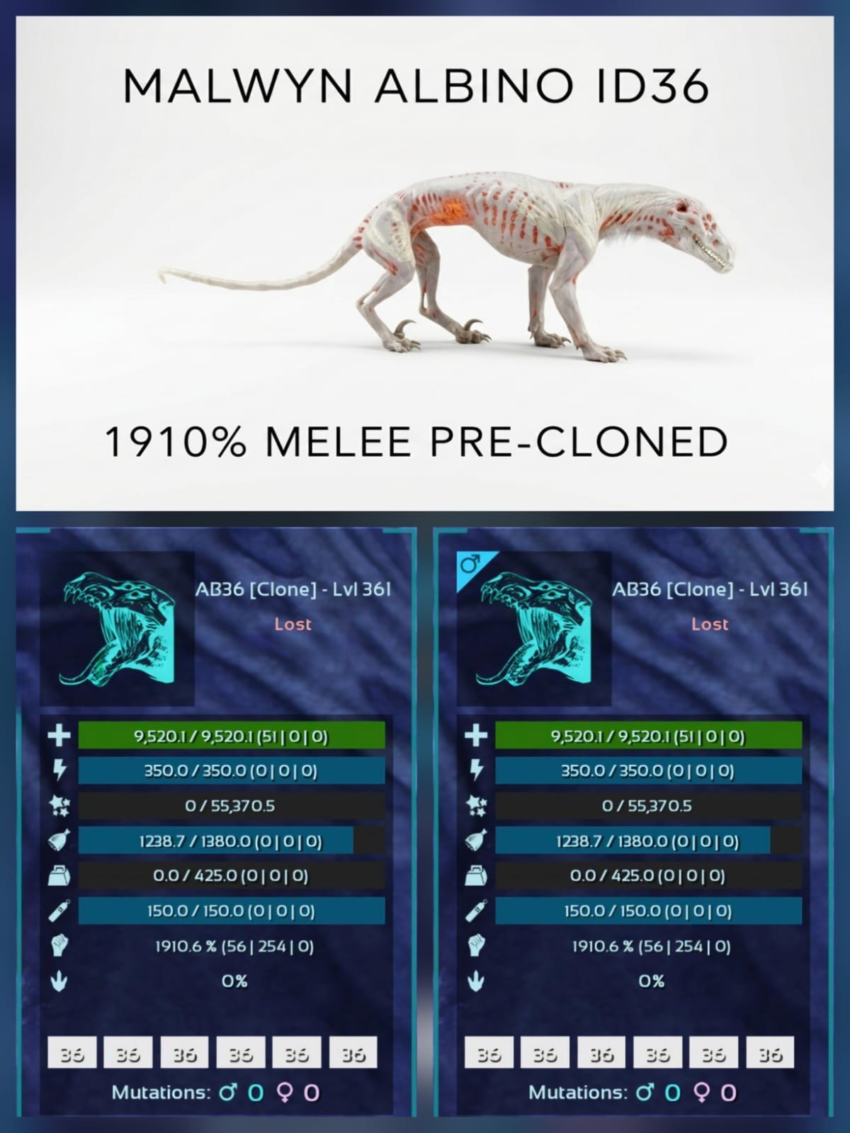 MALWYN PRE-CLONED Breeding Pair – TOP MELEE – Ark Asa Official PVE PC/XBOX/PS5